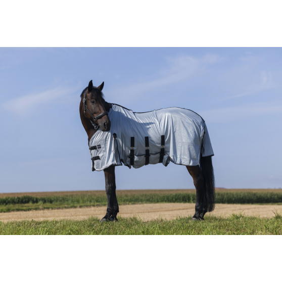 Chemise Riding World Belly Mesh - Standard