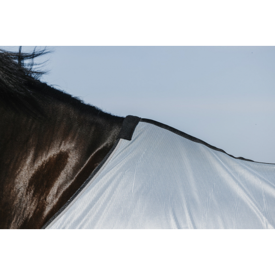 Chemise Riding World Belly Mesh - Standard