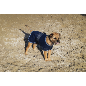 Riding World Fleece Dog rug