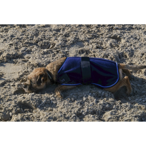 Riding World Fleece Dog rug