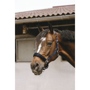 EQUITHÈME Jacquard Halter