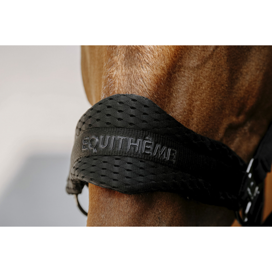 EQUITHÈME 3D Mesh Halter