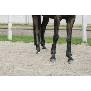 Je t'aime EQUITHÈME Fetlock + Tendon Boots
