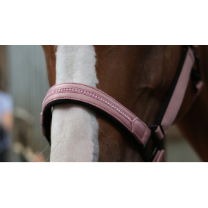 Lami-Cell Charming Hal­ter