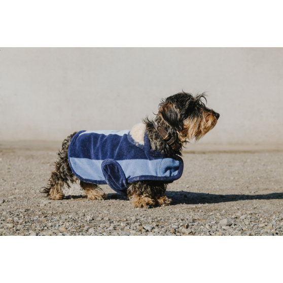 EQUITHÈME New Market dog rug