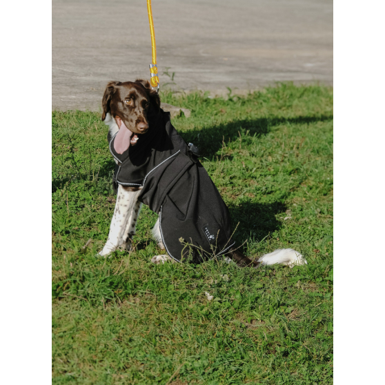 EQUITHÈME Softshell dog rug