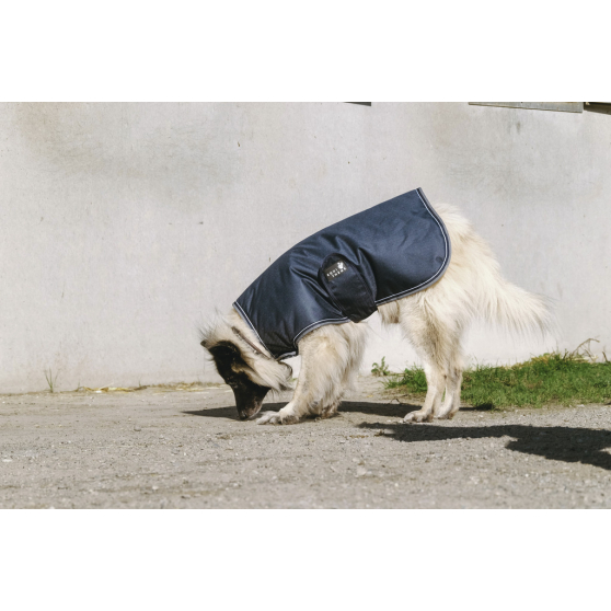 EQUITHÈME Tyrex 600D Dog Rug