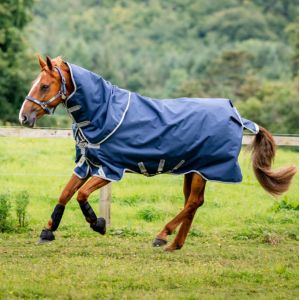 Horseware Amigo Bravo 12 Original Neck Cover