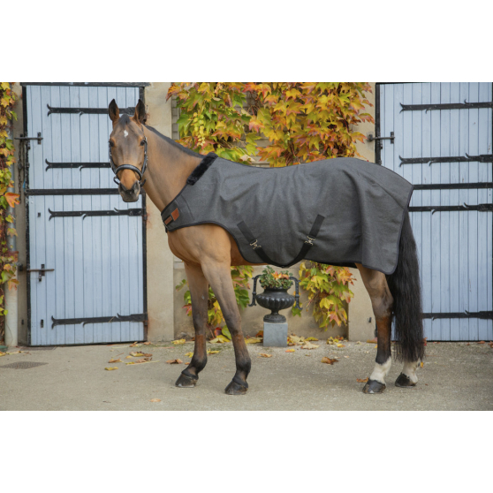 Paddock Sports Wooltouch Walker Rug