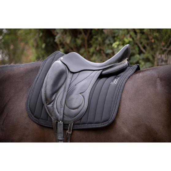 Paddock Sports Verticali Saddle Pad - Dressage