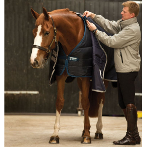 Horseware Amigo Bravo 12+ Rug and Liners Pack