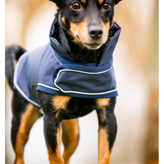 Horseware Signature Waterproof Dog Rug