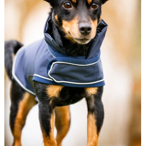 Couverture imperméable pour chien Horseware Signature