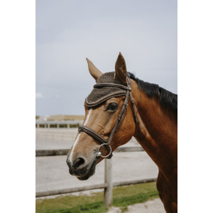 EQUITHÈME Hexalight fly veil