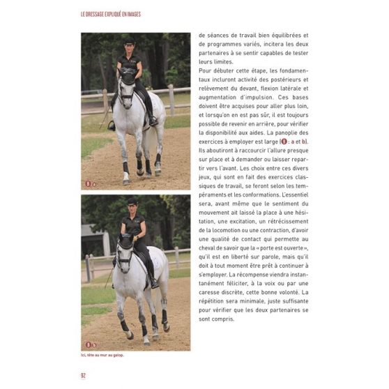 Le dressage expliqué en images