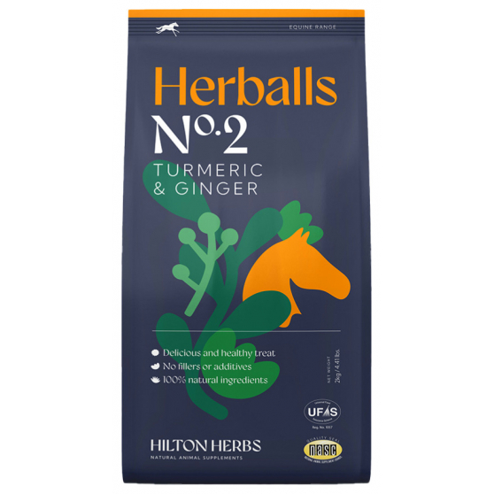 Hilton Herbs Herballs Treats - Turmeric & Ginger