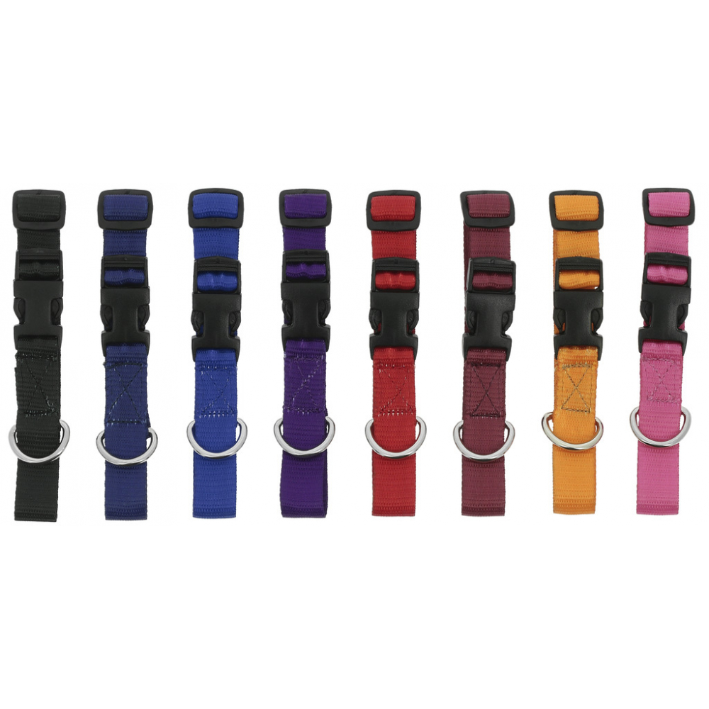 Riding World Pat Dog collar