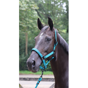 Lami-Cell Charming Hal­ter