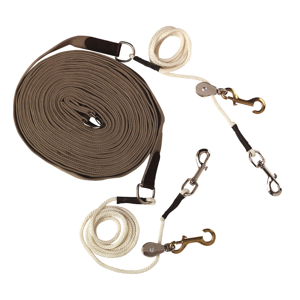 Driving reins with pulleys long lines PADD