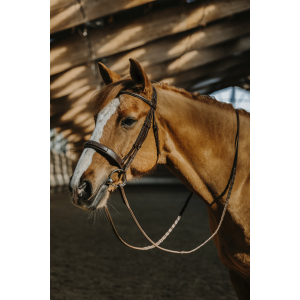 Norton Pro Hunter Fancy Bridle