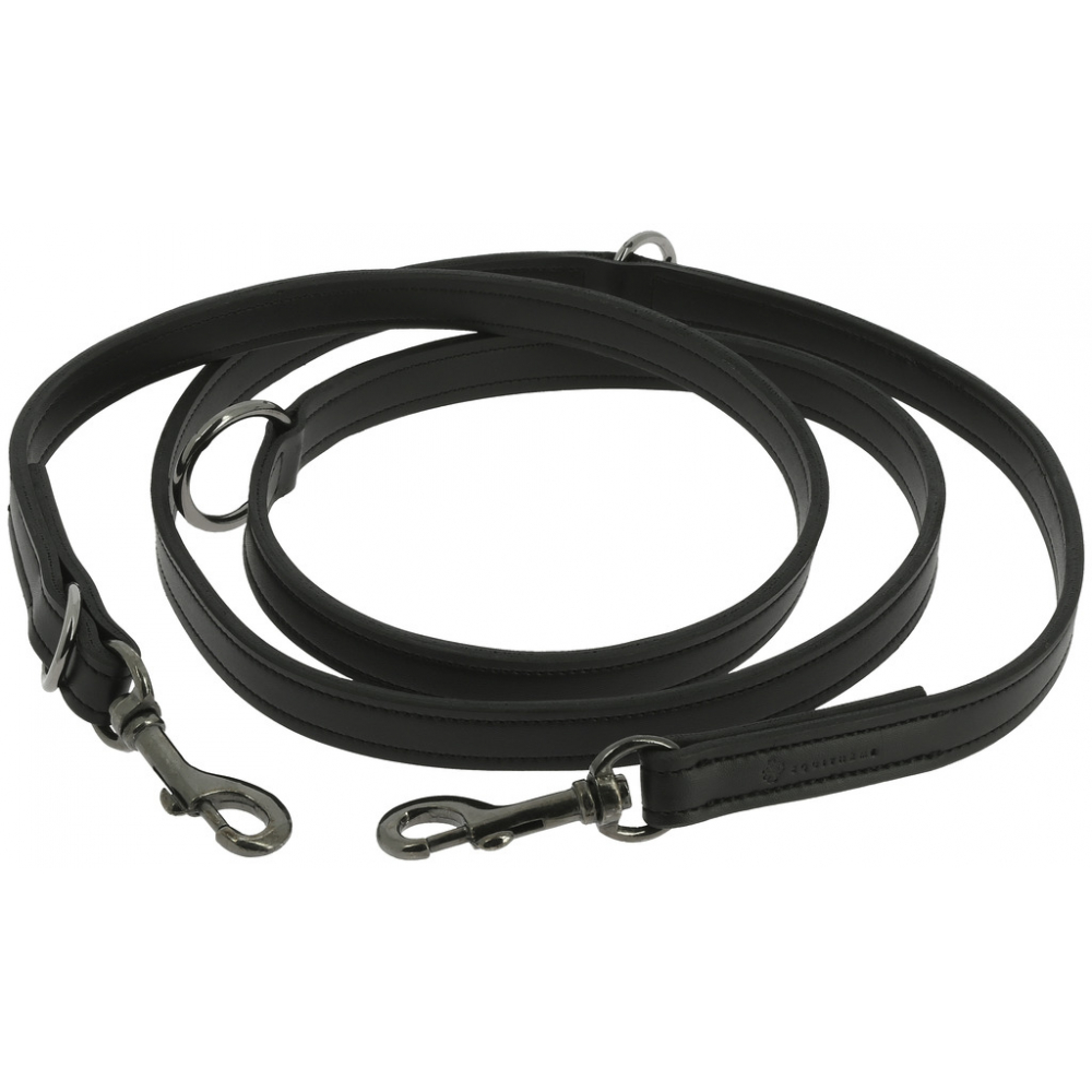 Laisse pour chien EQUITHÈME Vortex