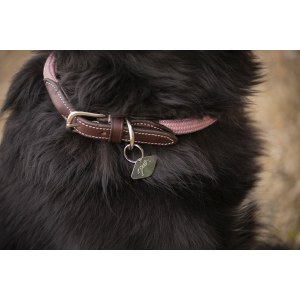 Pénélope Billie Dog Collar