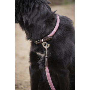 Pénélope Billie Dog Collar