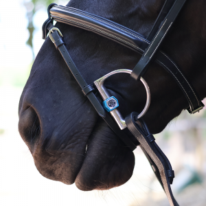Metalab Flexi D-Ring Trense