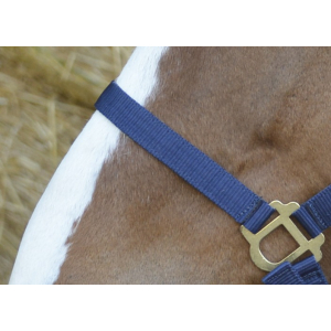 Licol Riding World Nylon