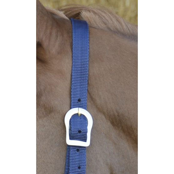 Licol Riding World Nylon