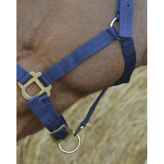 Licol Riding World Nylon