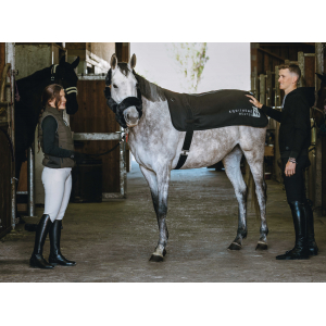 EQUITHÈME Heated Back Warmer
