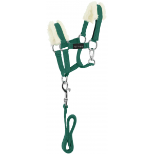 Pony Academy Halter + Lead rope