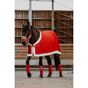 EQUITHÈME Xmas Fleece Sheet