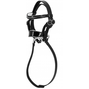 Pony Academy Strass Bridle