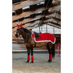 EQUITHÈME Xmas Exercise Sheet