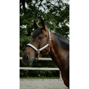 Licol EQUITHÈME - Glowy