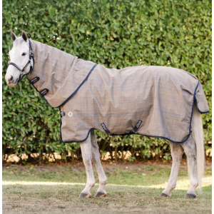 copy of Horseware Amigo...