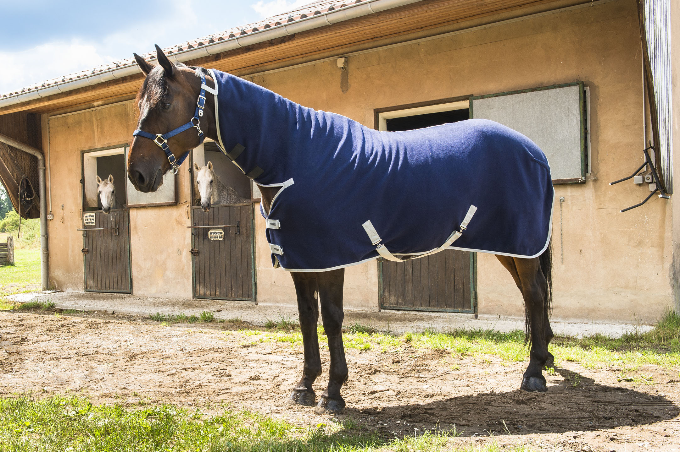 RIDING WORLD Chemise Polaire Combo