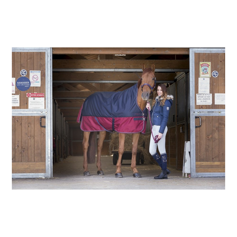 EQUITHEME “TYREX 1200 D” Turnout rug with high neck
