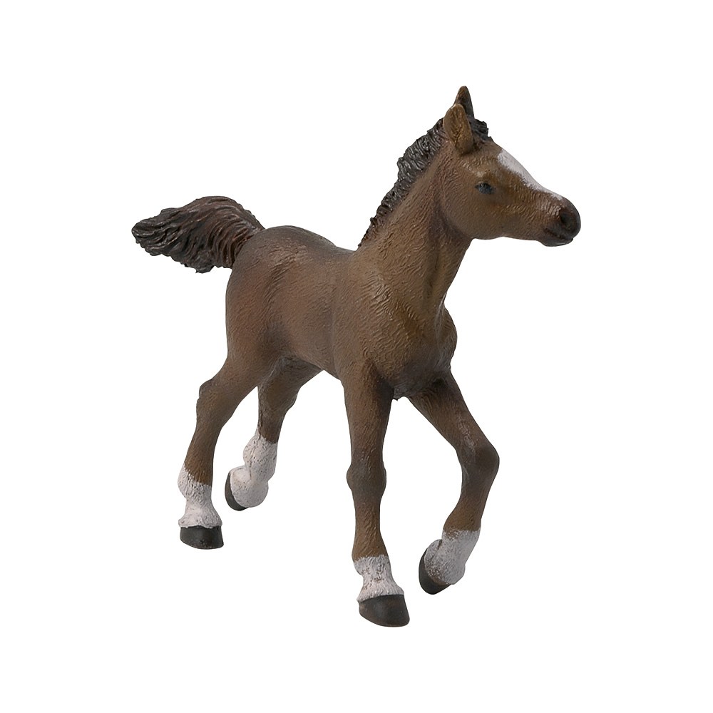 Papo Anglo-Arab foal