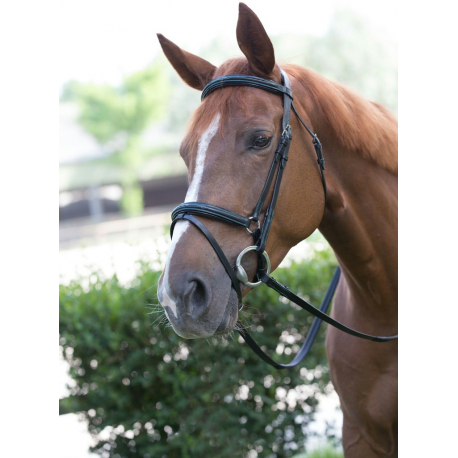 Bridon After Riding Polo Fancy Bridon After Riding Polo Fancy