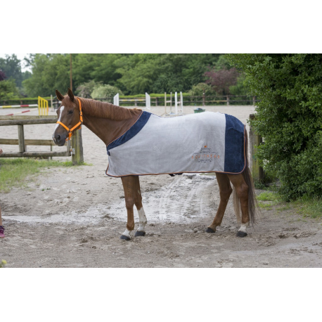 horse sheets