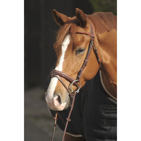 Penelope Bridle With Saddle Stitching Leather Bridles Padd