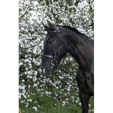 RIDING WORLD R/ênes de gogue Cuir