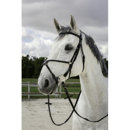 RIDING WORLD R/ênes de gogue Cuir