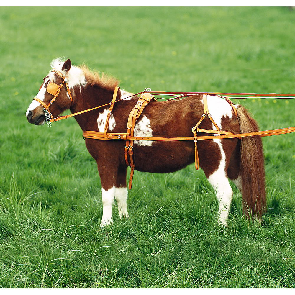 Leather Driving Breeching for Miniature Horses and Miniature Shetlands 