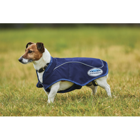 Couverture Weatherbeeta 1200D Exercise pour chien Couverture Weatherbeeta 1200D Exercise pour chien