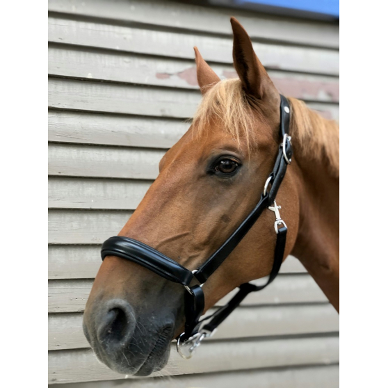 Comfort Dressage Show Double Bridle Reins Treadstone Pony Cob Horse Black Brown 