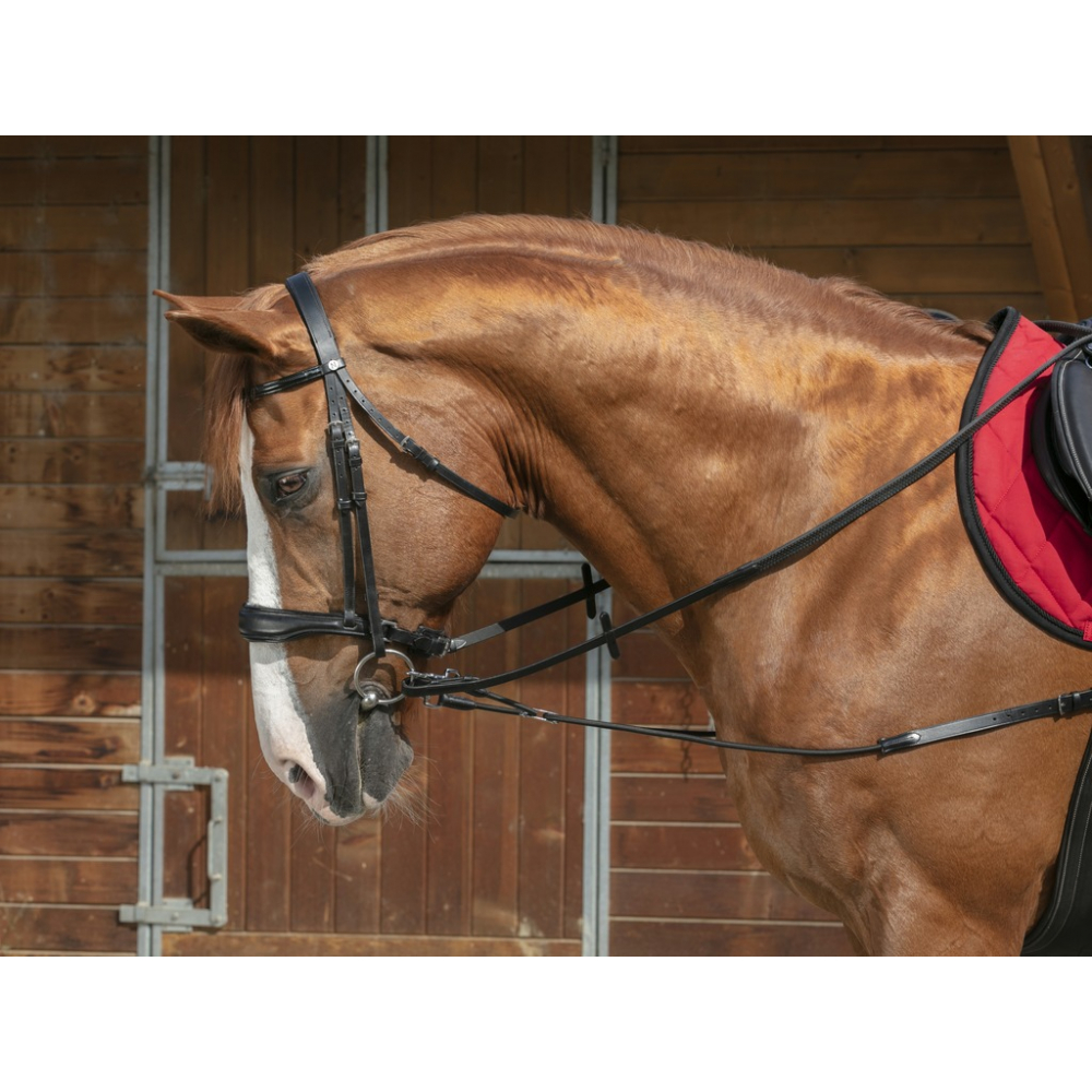 Ekkia SIDE REINS With Rubber Ring INSERT LEATHER Horse Pony Lunge FREE DELIVERY 